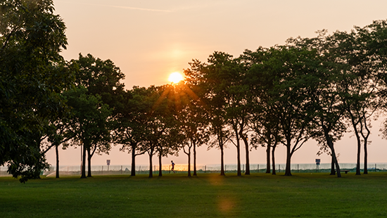 Sunset behind trees on lake - Evanston campus.