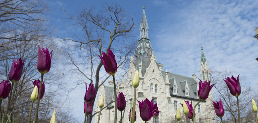 Picture of campus building with flowers in front